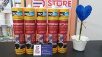MOTORSEAL