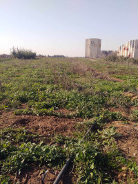 terrain-location-boumerdes-ouled-hedadj-algerie