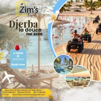 djerba par avion 