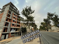 appartement-vente-f4-blida-boufarik-algerie