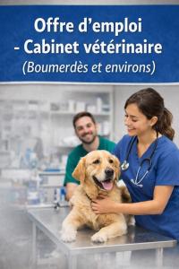 طب-و-صحة-veterinaire-بومرداس-الجزائر