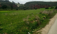 terrain-vente-boumerdes-tidjelabine-algerie