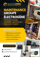 materiel-electrique-inverseur-motorise-pour-groupe-electrogene-chlef-algerie