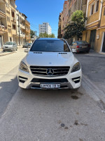 automobiles-mercedes-ml-250-2013-amg-line-bab-ezzouar-alger-algerie