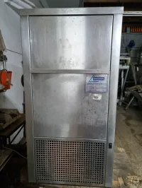 Pondeuse de glaces  a poissons  
