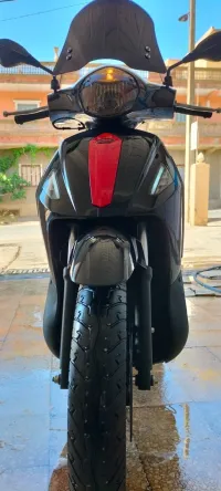Vms Flach vms 2022