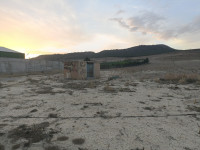 terrain-agricole-vente-batna-algerie