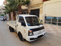 camion-h-100-2013-bordj-bou-arreridj-algerie