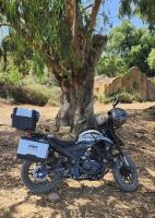 motos-scooters-vms-rk-200-annee-2023-annaba-algerie