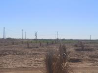 terrain-agricole-vente-biskra-sidi-okba-algerie