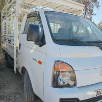 camion-hyundai-h100-2022-alger-centre-algerie