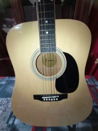 Guitare Jackson 