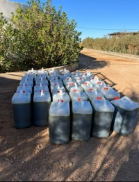 Vente Terrain Agricole Djelfa Djelfa