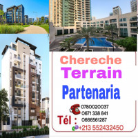 terrain-cherche-achat-alger-centre-algerie