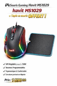 لوحة-المفاتيح-الفأرة-souris-gaming-havit-ms-1029-tapis-de-offert-بئر-خادم-الجزائر