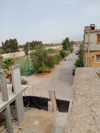 land-sell-blida-mouzaia-algeria