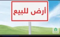 Vente Terrain Aïn Témouchent Beni saf