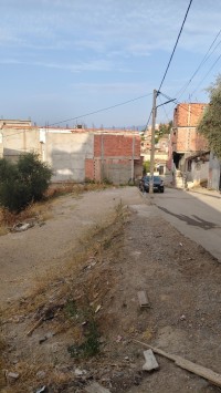 land-sell-blida-el-affroun-algeria