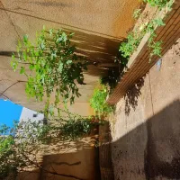 Location Villa Alger Kouba