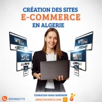Créez Votre Site E-commerce Professionnel avec Impact Agence