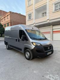 السيارات-النفعية-fiat-ducato-2026-باتنة-الجزائر