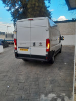 utilitaire-fiat-ducato-2023-l2h2-baraki-alger-algerie