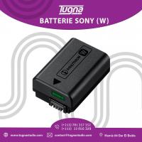 accessoires-des-appareils-batterie-sony-w-dar-el-beida-alger-algerie