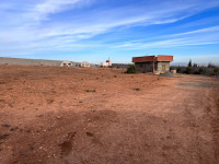 terrain-agricole-vente-sidi-bel-abbes-amarnas-algerie