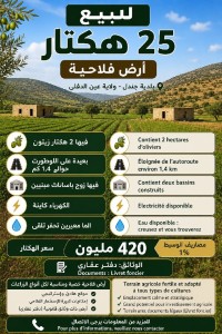 أرض-فلاحية-بيع-عين-الدفلة-جندل-الجزائر