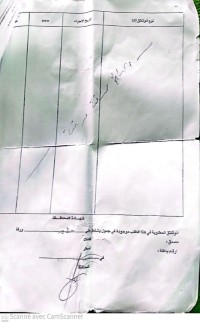 land-sell-mostaganem-sour-algeria