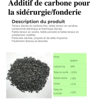 carbone pour  la sidérurgie/fonderie