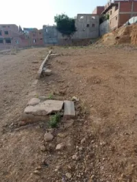 Vente Terrain Tipaza Kolea