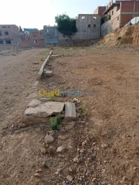 Vente Terrain Tipaza Kolea