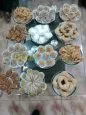 Gâteaux Traditionnels Pour Vos Fêtes