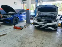 MA-performance 