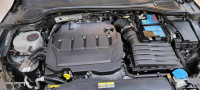 voitures-volkswagen-golf-8-2021-r-line-algerie