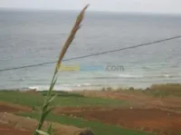 Vente Terrain Oran Ain el kerma