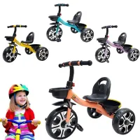 Vélo Tricycle avec panier  Pégase