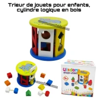 jeux éducatif  Trieur de jouets pour enfants, cylindre logique en bois