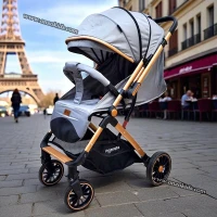 Poussette compacte valise réversible de luxe Vidalia Bronze - Popypapa