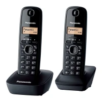 Panasonic KX-TG1612FR DUO Noir sans fil
