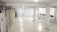 commercial-rent-constantine-algeria