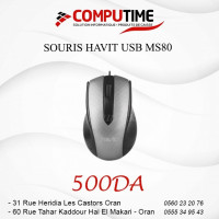 autre-souris-havit-usb-ms80-oran-algerie