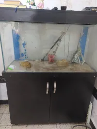 Aquarium avec table 