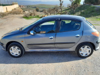 voitures-peugeot-206-2006-rouached-mila-algerie