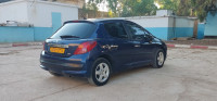 voitures-peugeot-207-2007-ain-oussara-djelfa-algerie