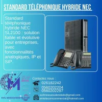 NEC NEC SL2100