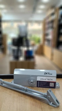 Retour porte 80-120 kg ZKteco