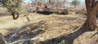 Vente Terrain Tlemcen Tlemcen