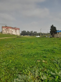 terrain-vente-boumerdes-boudouaou-algerie